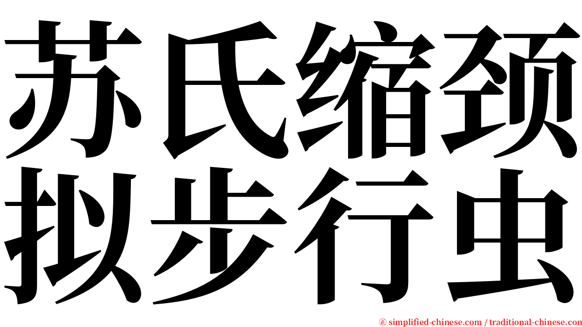 苏氏缩颈拟步行虫 serif font