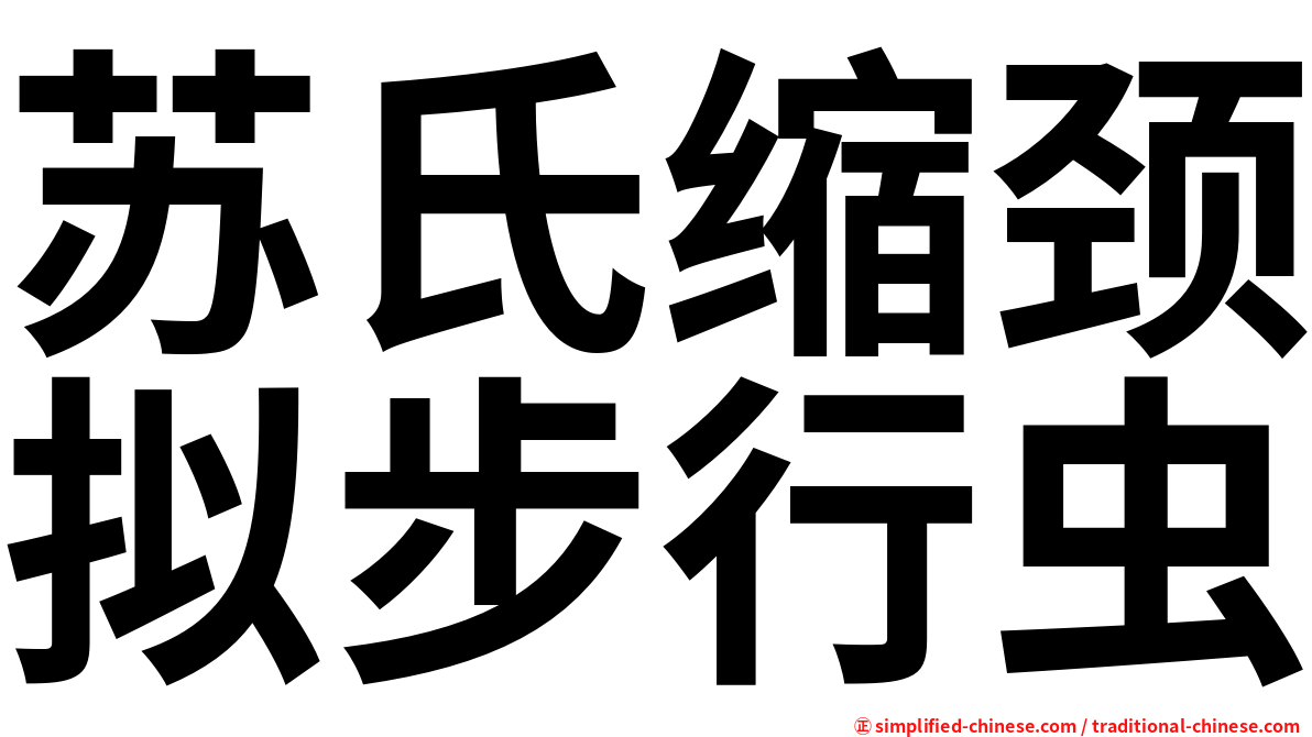 苏氏缩颈拟步行虫