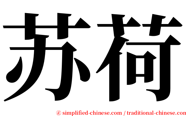 苏荷 serif font