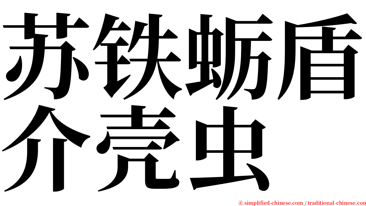 苏铁蛎盾介壳虫 serif font