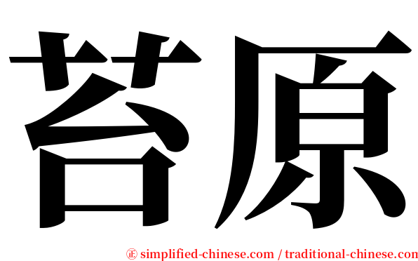 苔原 serif font