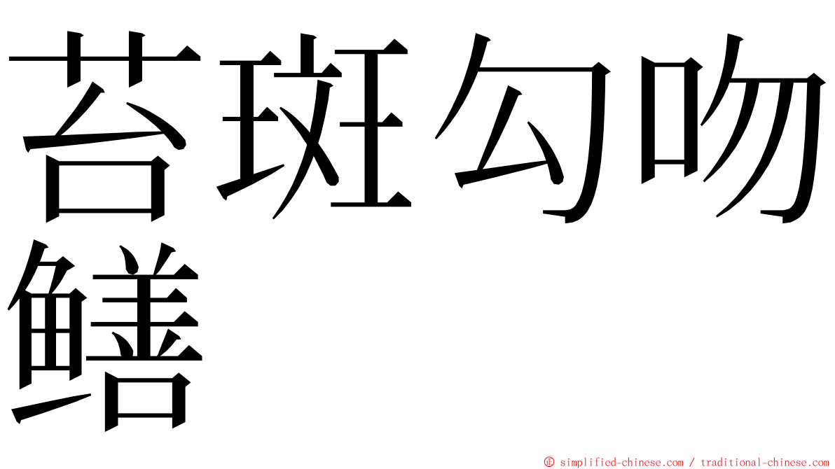 苔斑勾吻鳝 ming font