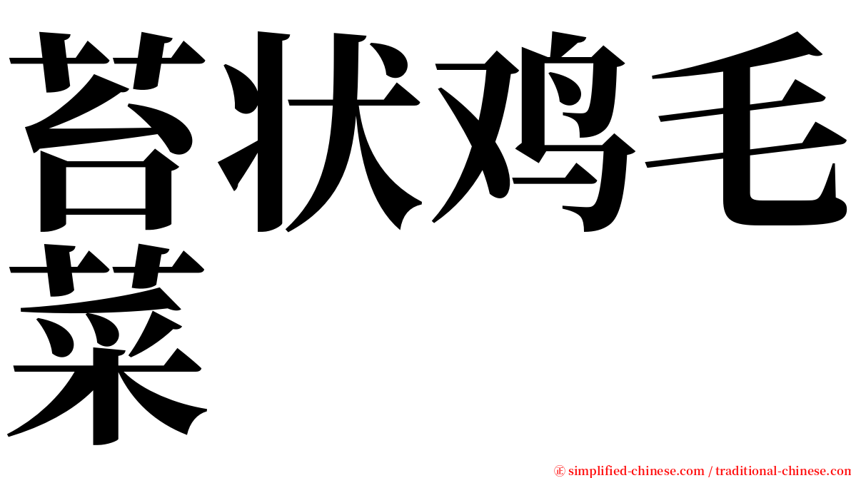苔状鸡毛菜 serif font