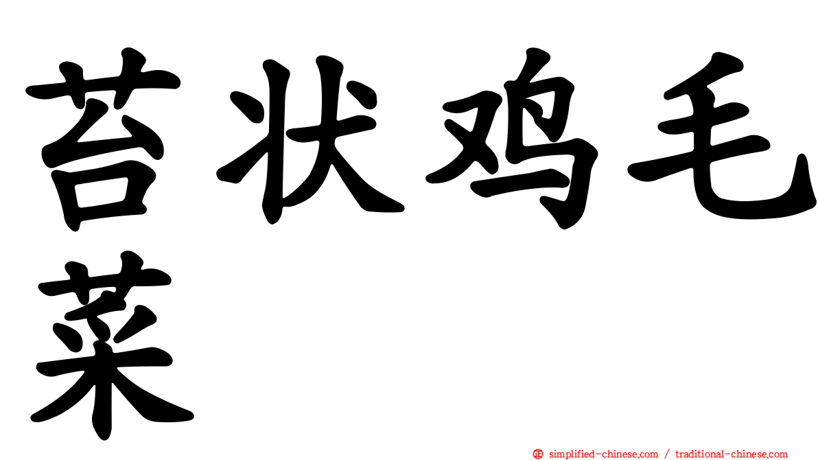 苔状鸡毛菜