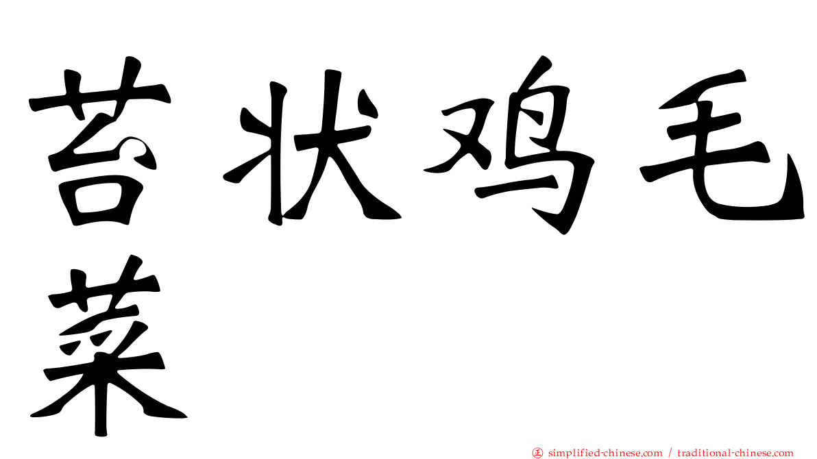 苔状鸡毛菜