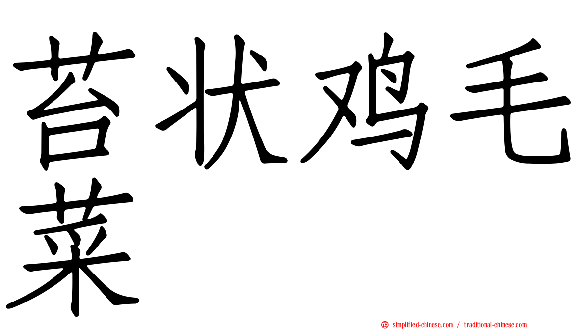 苔状鸡毛菜