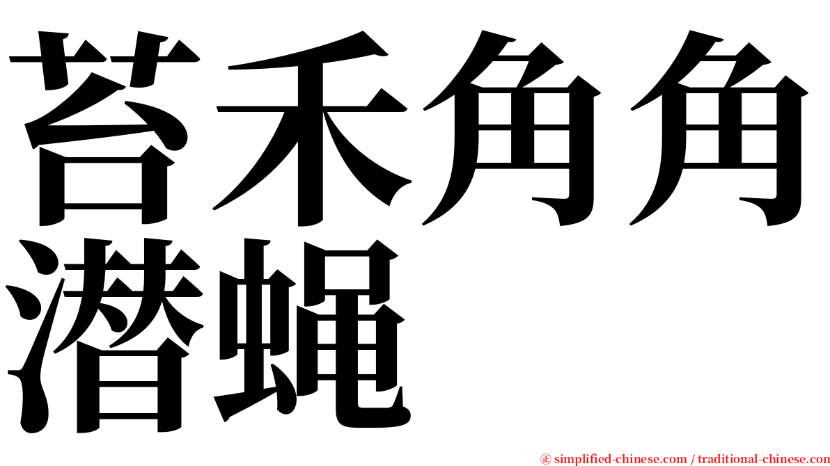 苔禾角角潜蝇 serif font