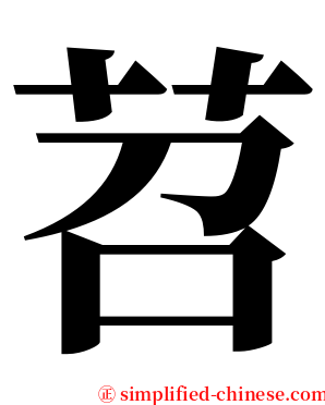 苕 serif font