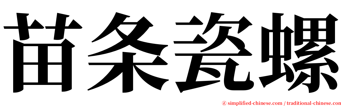 苗条瓷螺 serif font