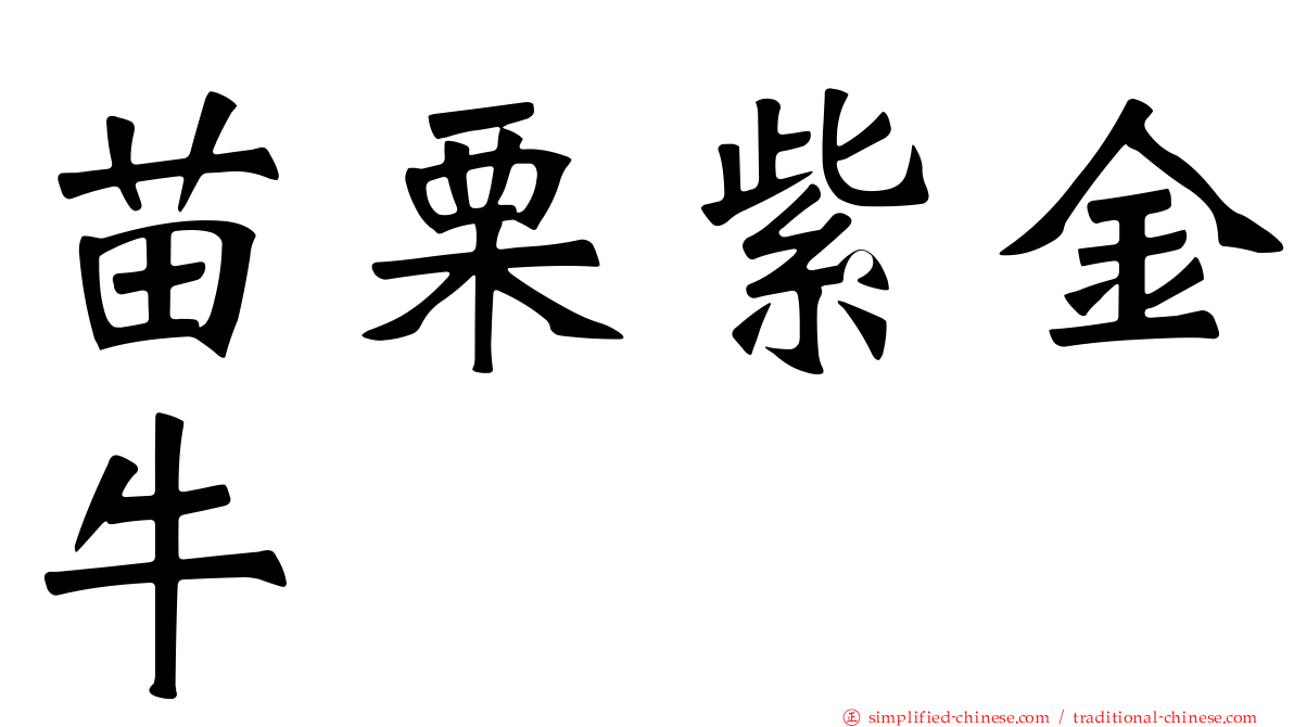 苗栗紫金牛