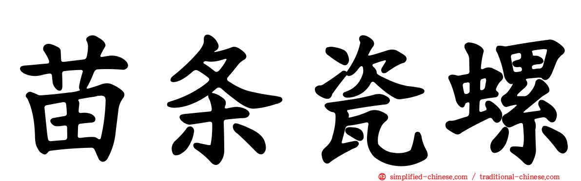 苗条瓷螺