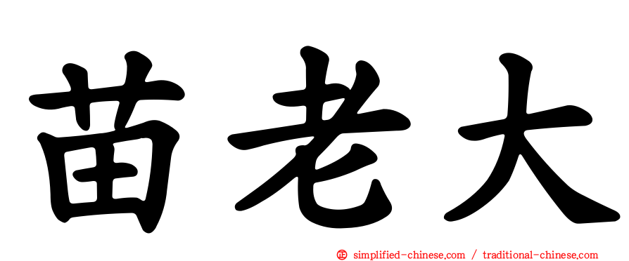 苗老大