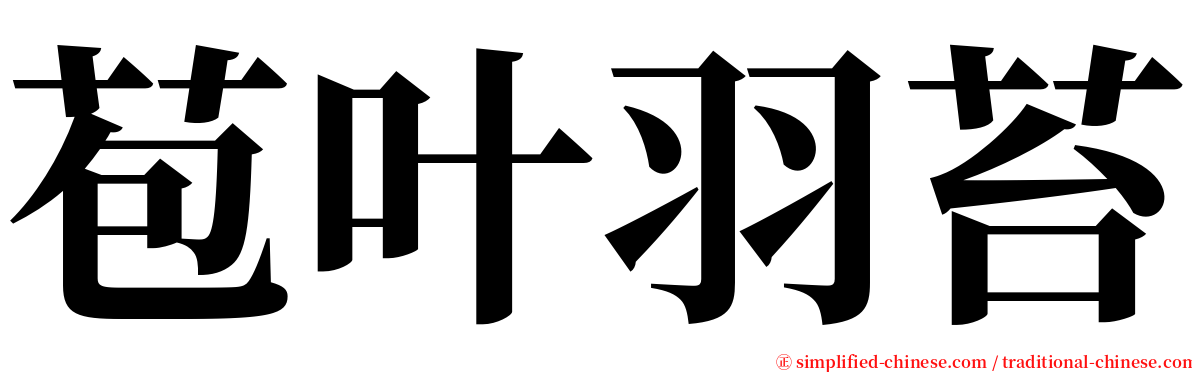 苞叶羽苔 serif font