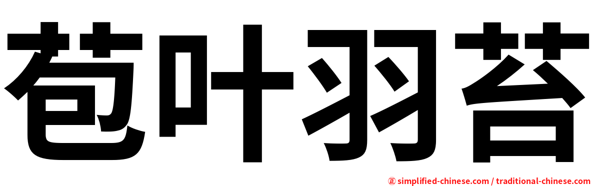 苞叶羽苔