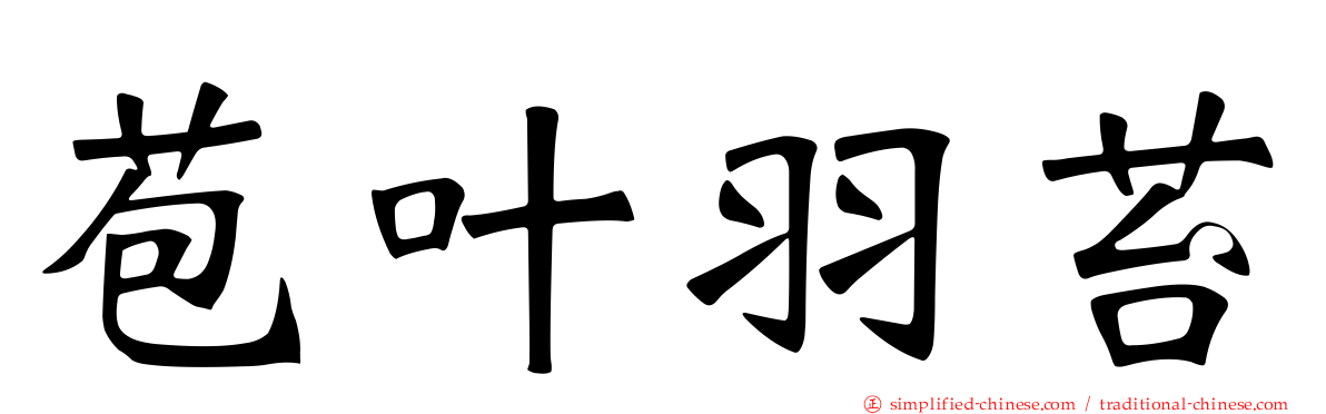 苞叶羽苔
