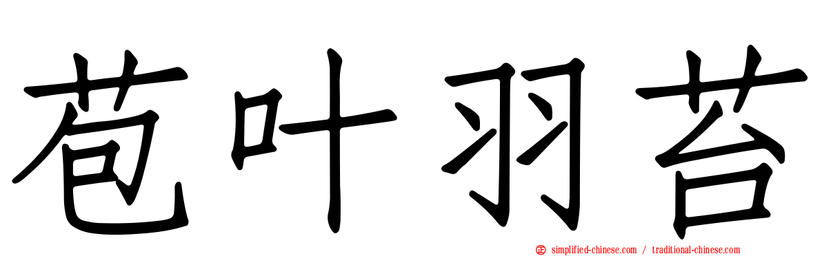 苞叶羽苔