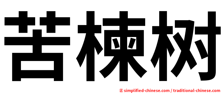 苦楝树