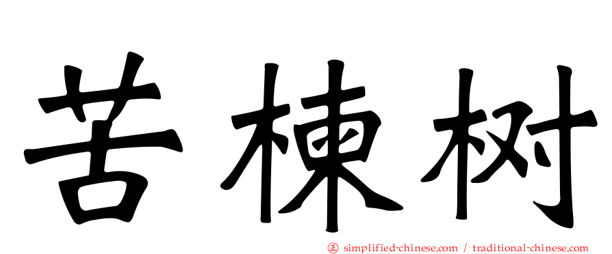 苦楝树