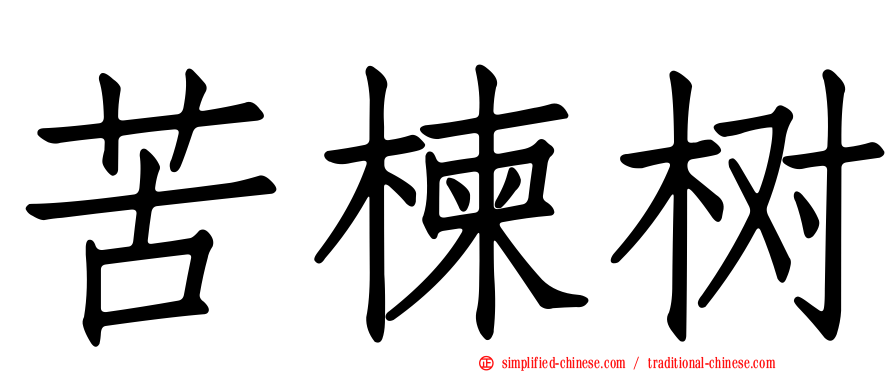 苦楝树