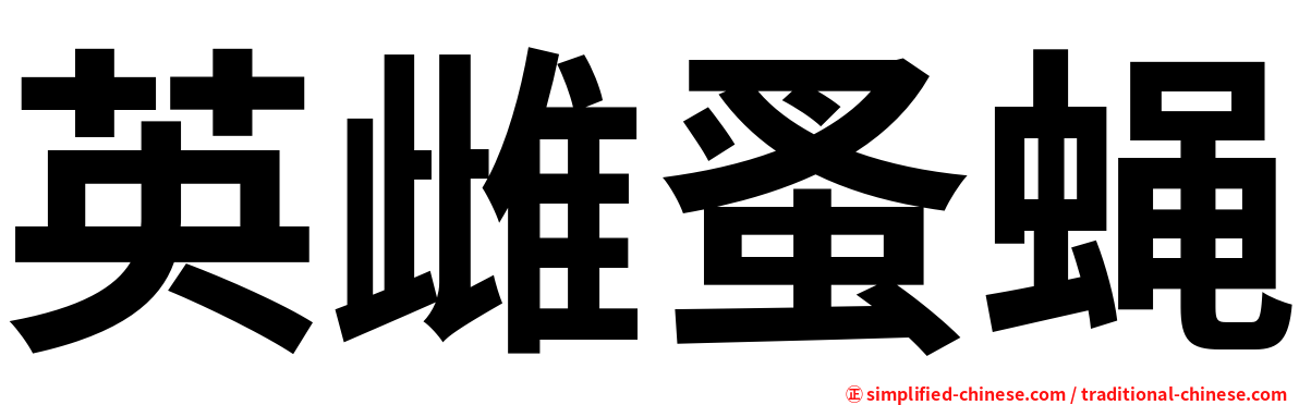英雌蚤蝇