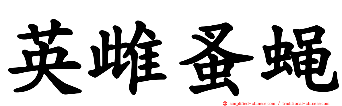 英雌蚤蝇
