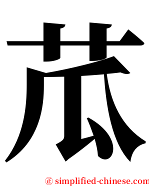 苽 serif font