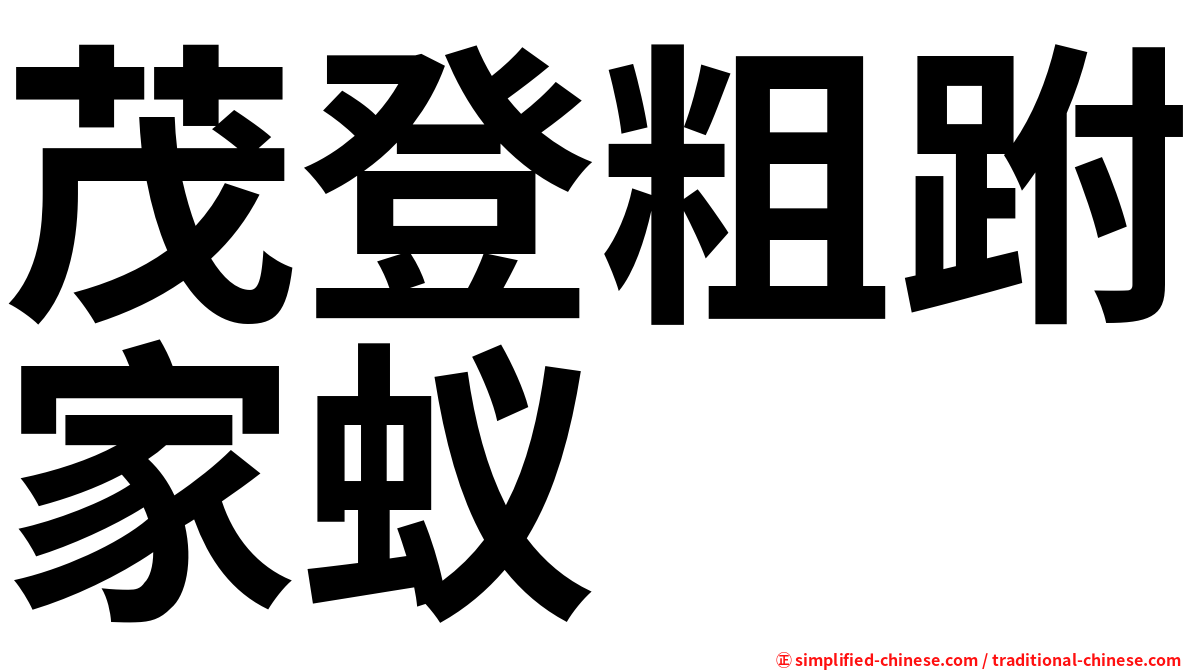 茂登粗跗家蚁