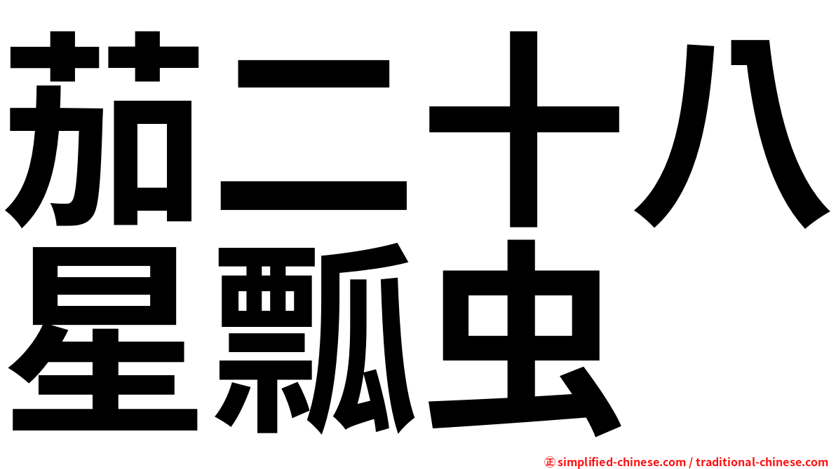 茄二十八星瓢虫