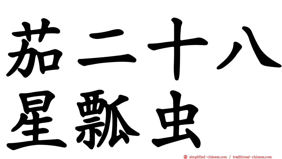 茄二十八星瓢虫