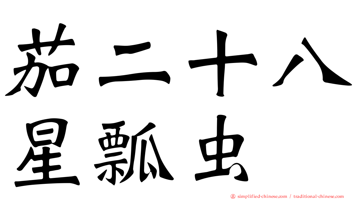 茄二十八星瓢虫