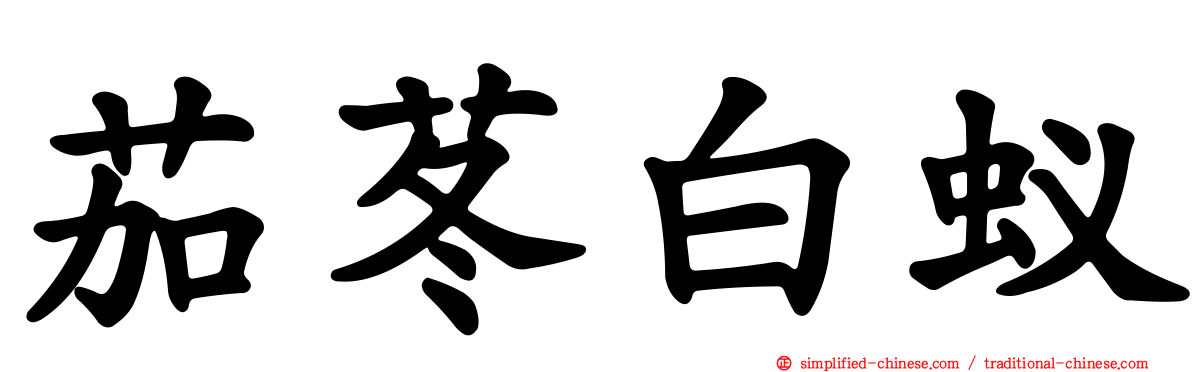 茄苳白蚁