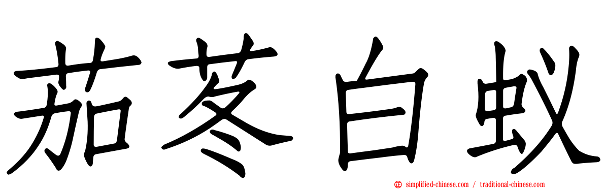 茄苳白蚁