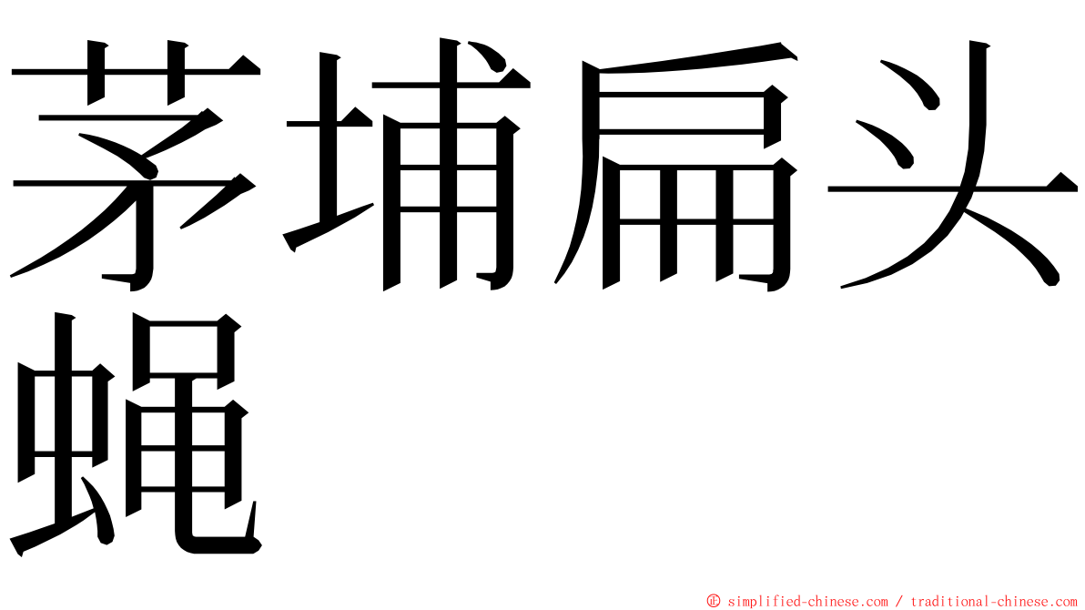 茅埔扁头蝇 ming font
