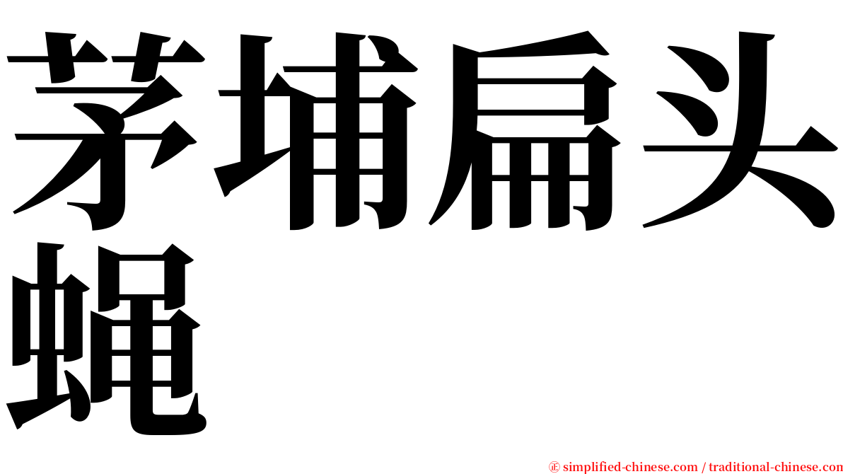 茅埔扁头蝇 serif font