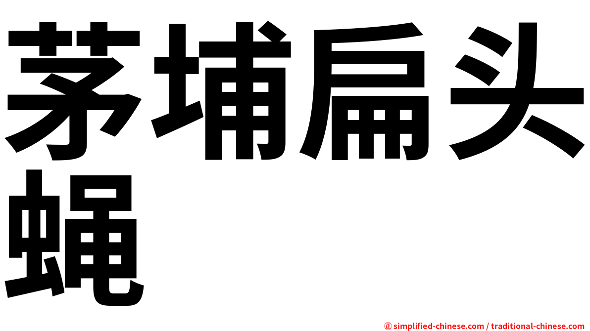 茅埔扁头蝇