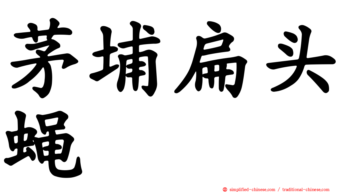 茅埔扁头蝇