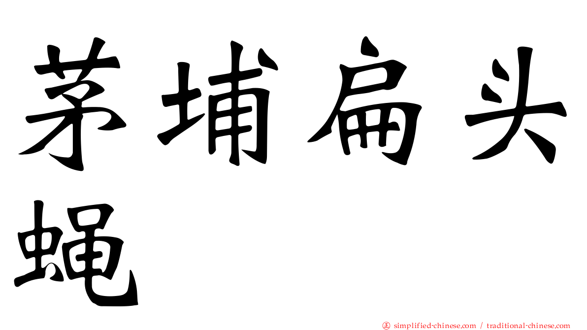 茅埔扁头蝇