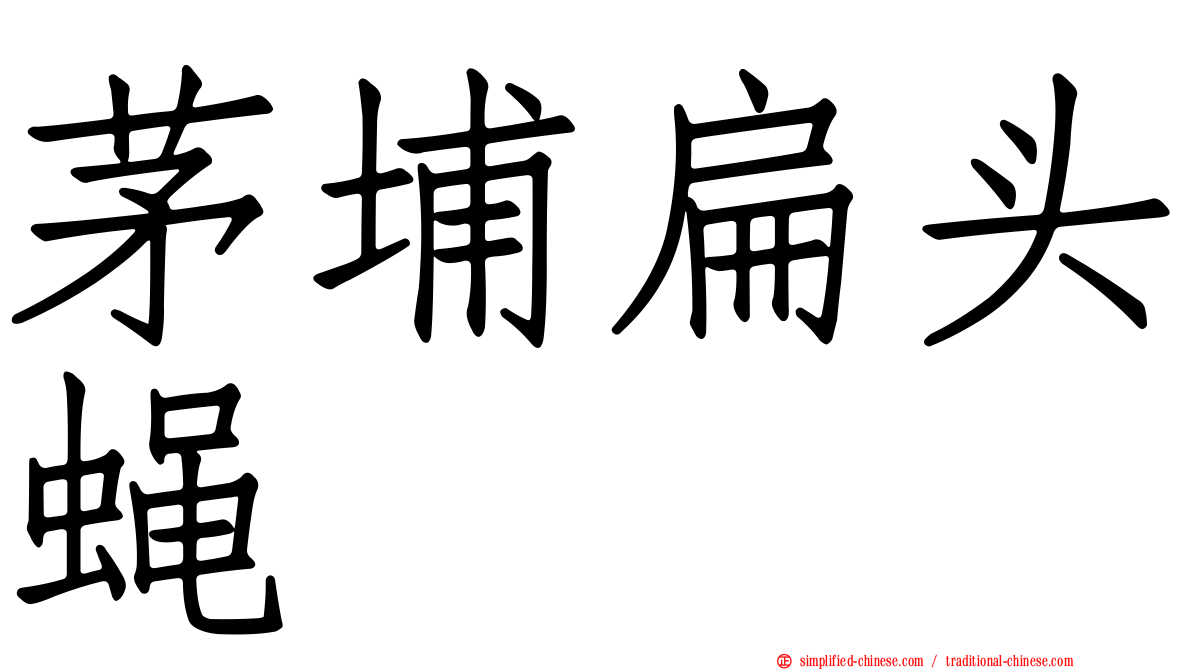 茅埔扁头蝇