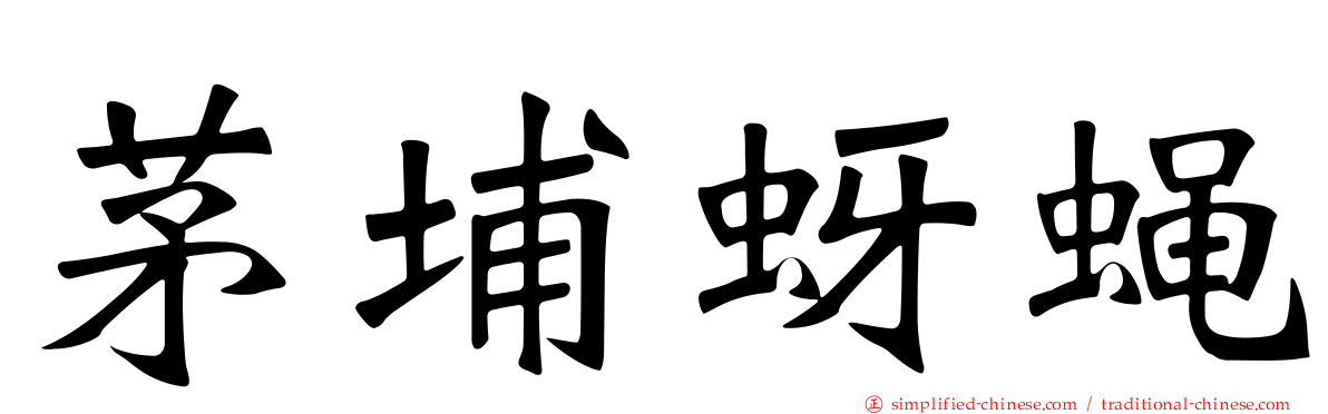 茅埔蚜蝇