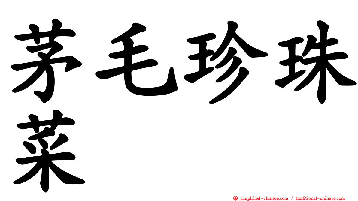 茅毛珍珠菜