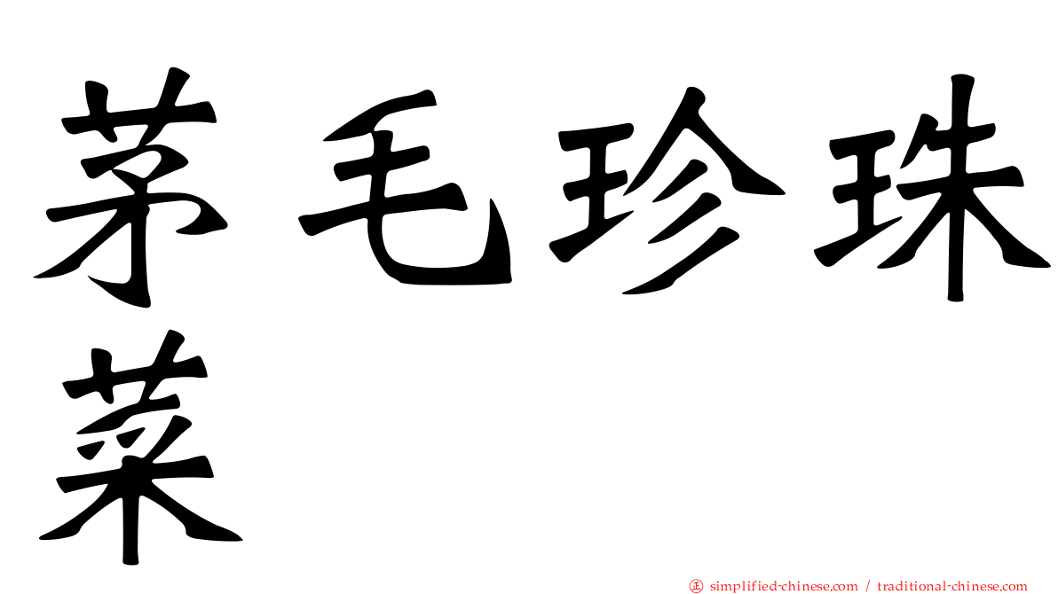 茅毛珍珠菜