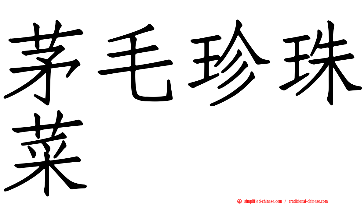 茅毛珍珠菜