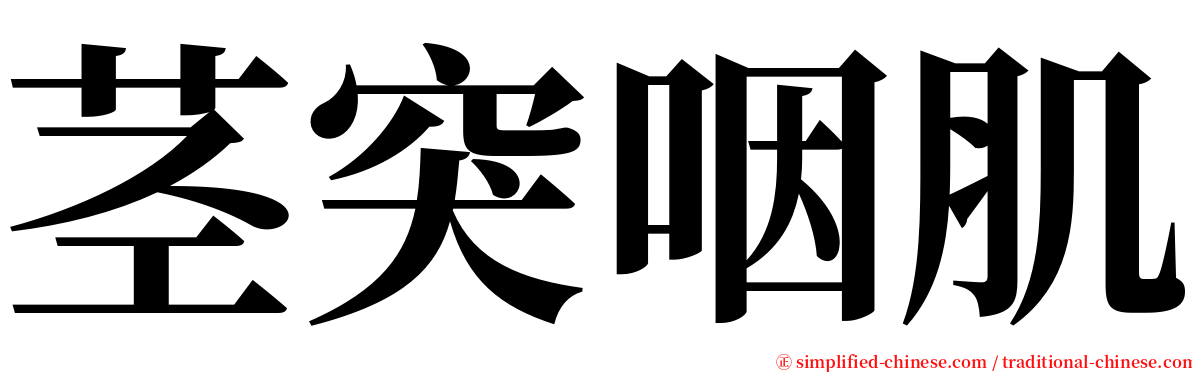 茎突咽肌 serif font