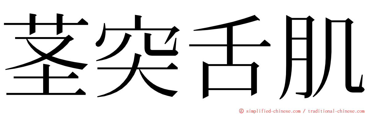 茎突舌肌 ming font