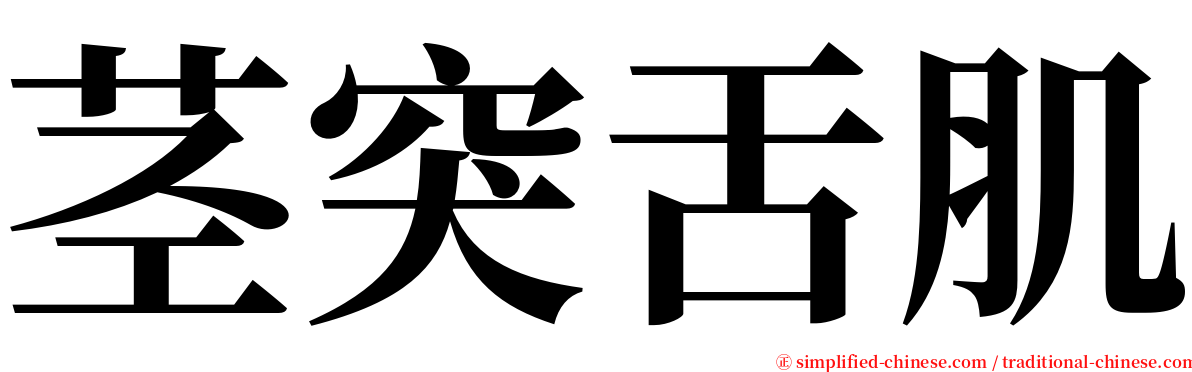 茎突舌肌 serif font