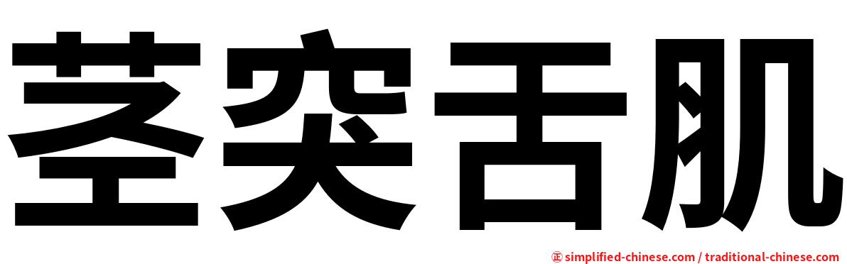 茎突舌肌