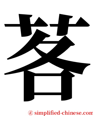 茖 serif font