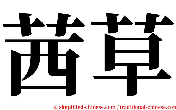 茜草 serif font