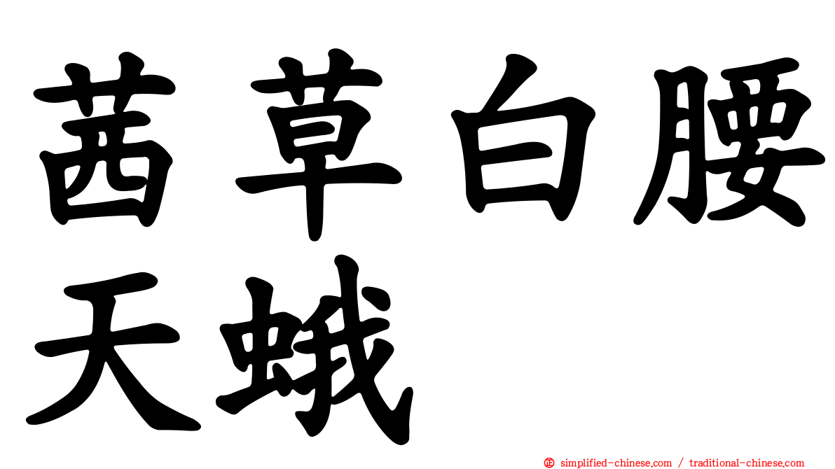 茜草白腰天蛾