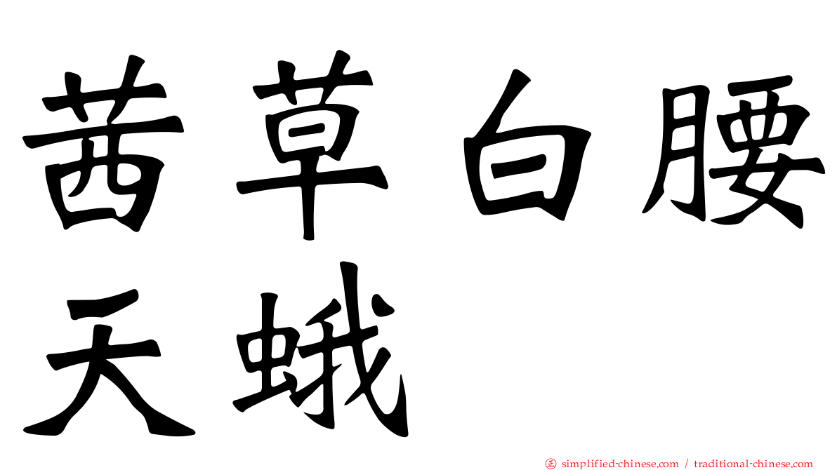 茜草白腰天蛾
